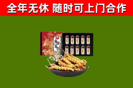 东平县烟酒回收冬虫夏草礼盒.jpg
