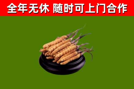 东平县烟酒回收冬虫夏草.jpg